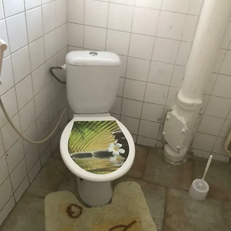 U Novych Lazni Apartment *